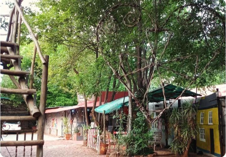 Hotel Paljas Backpackers Potchefstroom Exterior foto